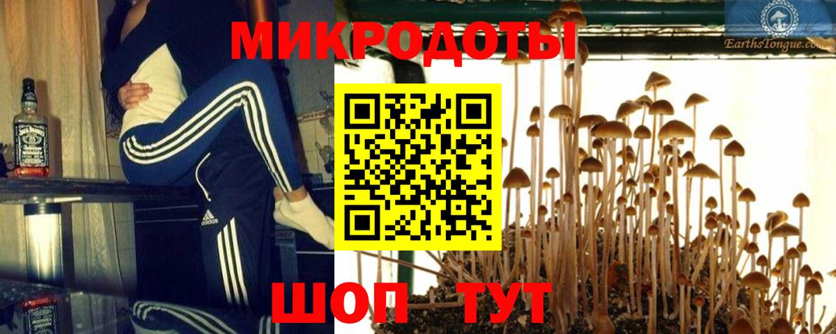 Псилоцибиновые грибы MAGIC MUSHROOMS  Галлюциногенные грибы Cubensis  Вход с VPN  Белогорск 